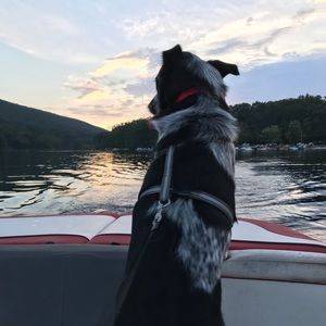 Meet your Posher, Thomad